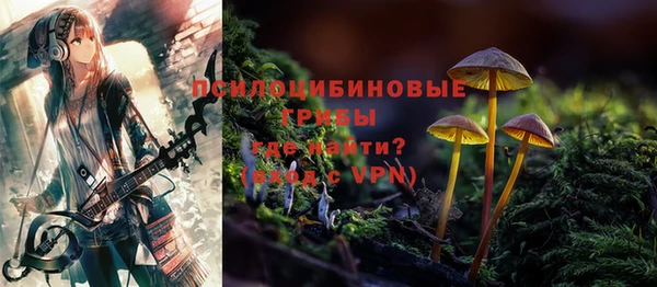 гашик Абаза