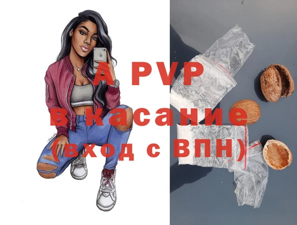 гашик Абаза
