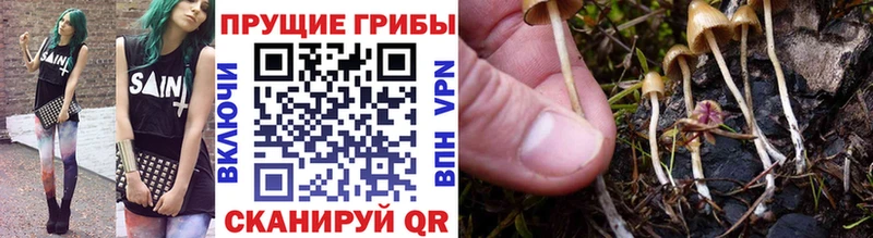 ссылка на мегу ССЫЛКА  Нижневартовск  Псилоцибиновые грибы мицелий 